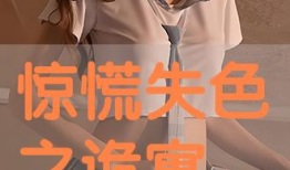 国产精品高清视频免费观看,高清免费观影盛宴